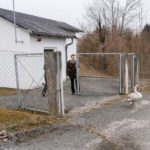 schwan1